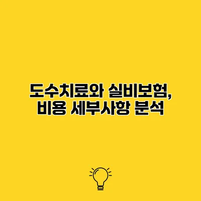 도수치료와 실비보험, 비용 세부사항 분석