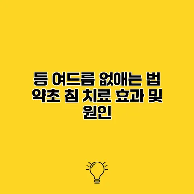 등 여드름 없애는 법 약초 침 치료 효과 및 원인