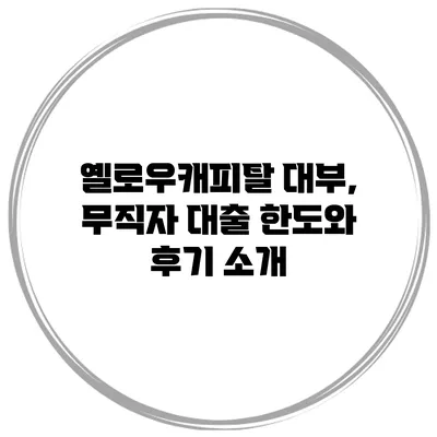 옐로우캐피탈 대부, 무직자 대출 한도와 후기 소개