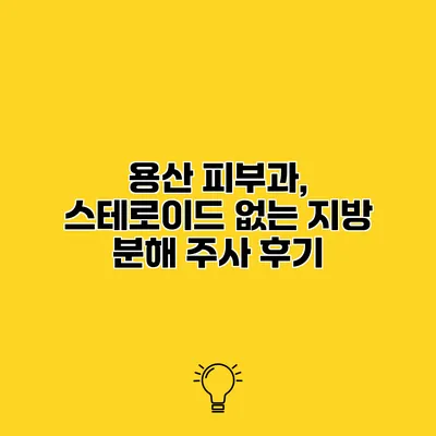 용산 피부과, 스테로이드 없는 지방 분해 주사 후기