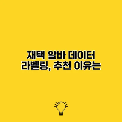 재택 알바 데이터 라벨링, 추천 이유는?
