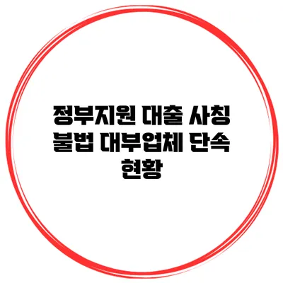 정부지원 대출 사칭 불법 대부업체 단속 현황