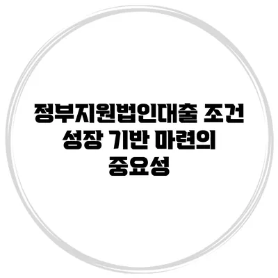 정부지원법인대출 조건 성장 기반 마련의 중요성