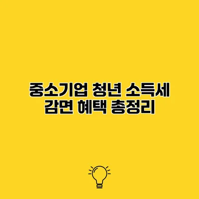 중소기업 청년 소득세 감면 혜택 총정리