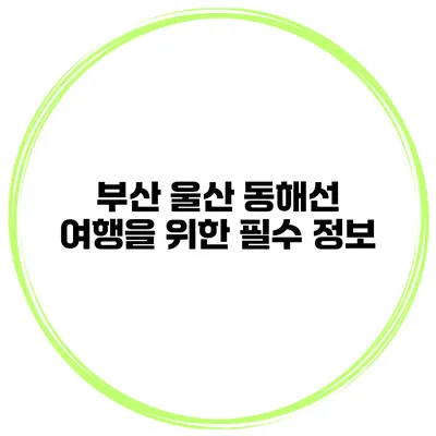 부산 울산 동해선 여행을 위한 필수 정보