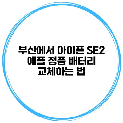 부산에서 아이폰 SE2 애플 정품 배터리 교체하는 법