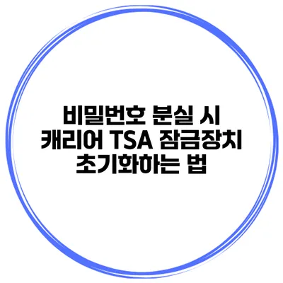 비밀번호 분실 시 캐리어 TSA 잠금장치 초기화하는 법
