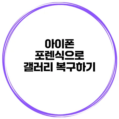 아이폰 포렌식으로 갤러리 복구하기