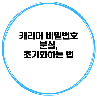 캐리어 비밀번호 분실, 초기화하는 법